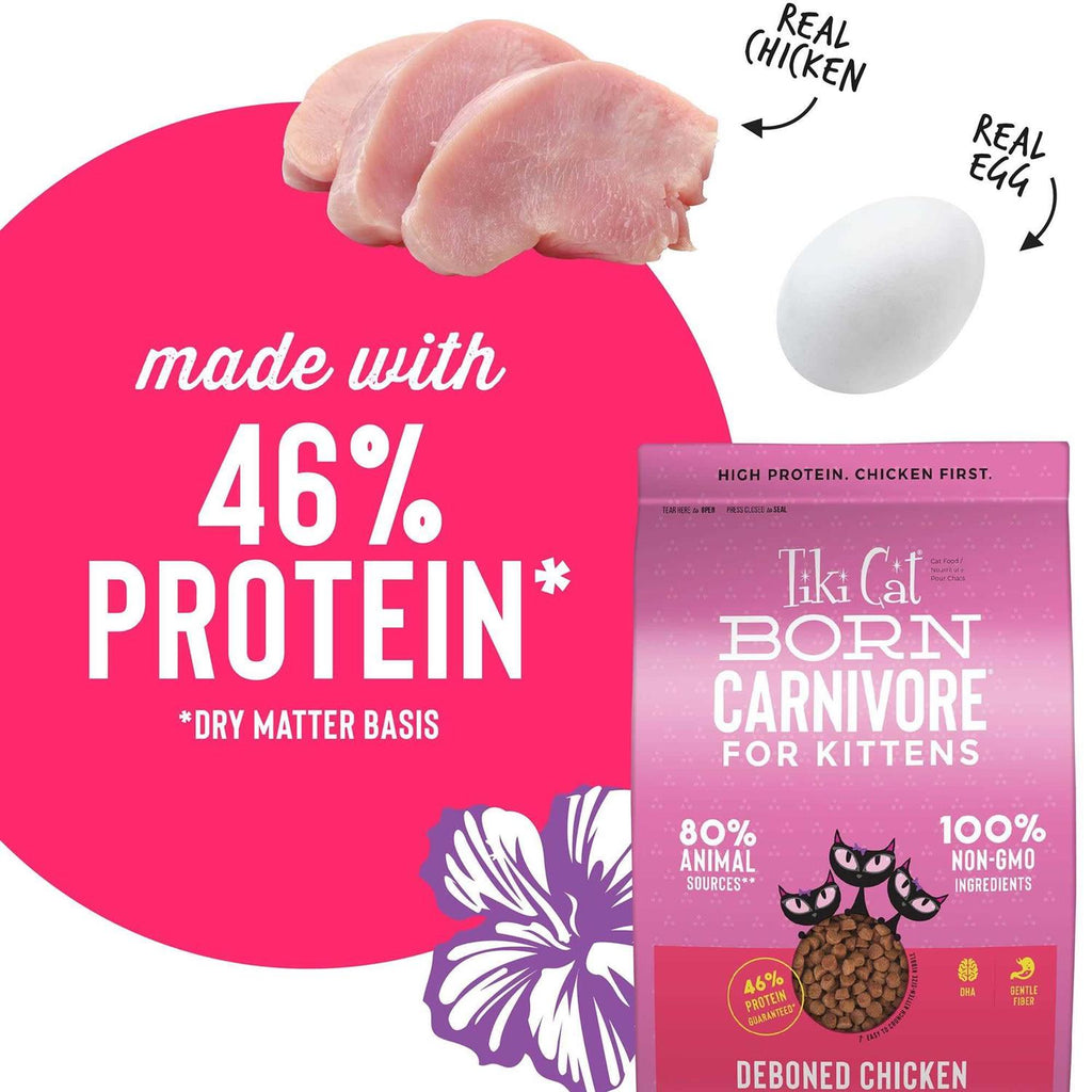 Chicken & Egg Kitten Dry Food E338461