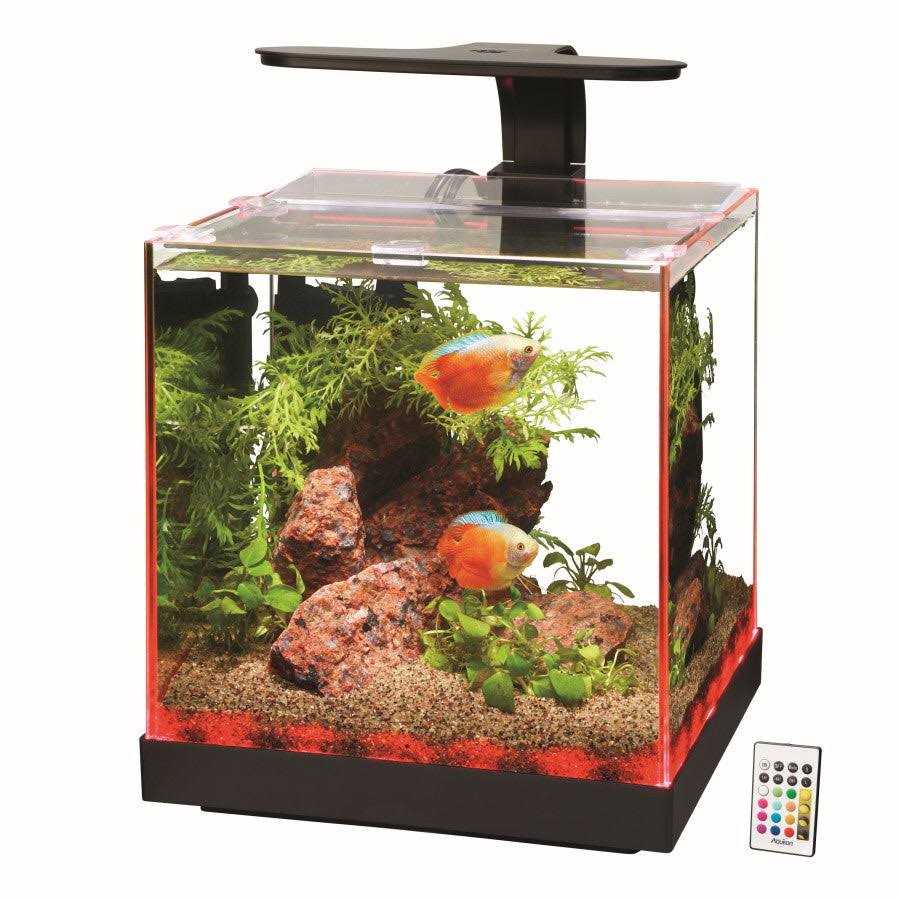 Aquarium M40351