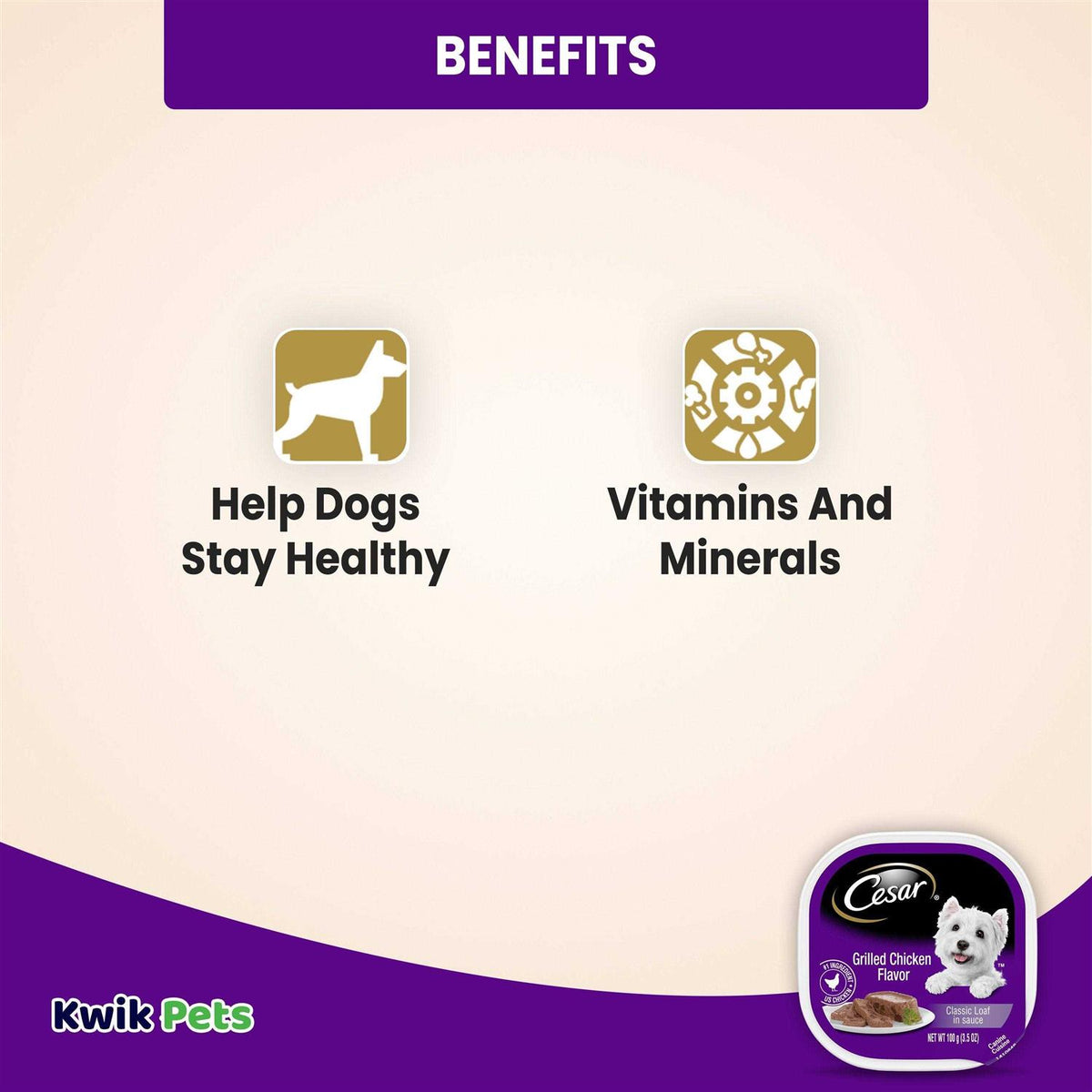 Grilled Dog Food J457261