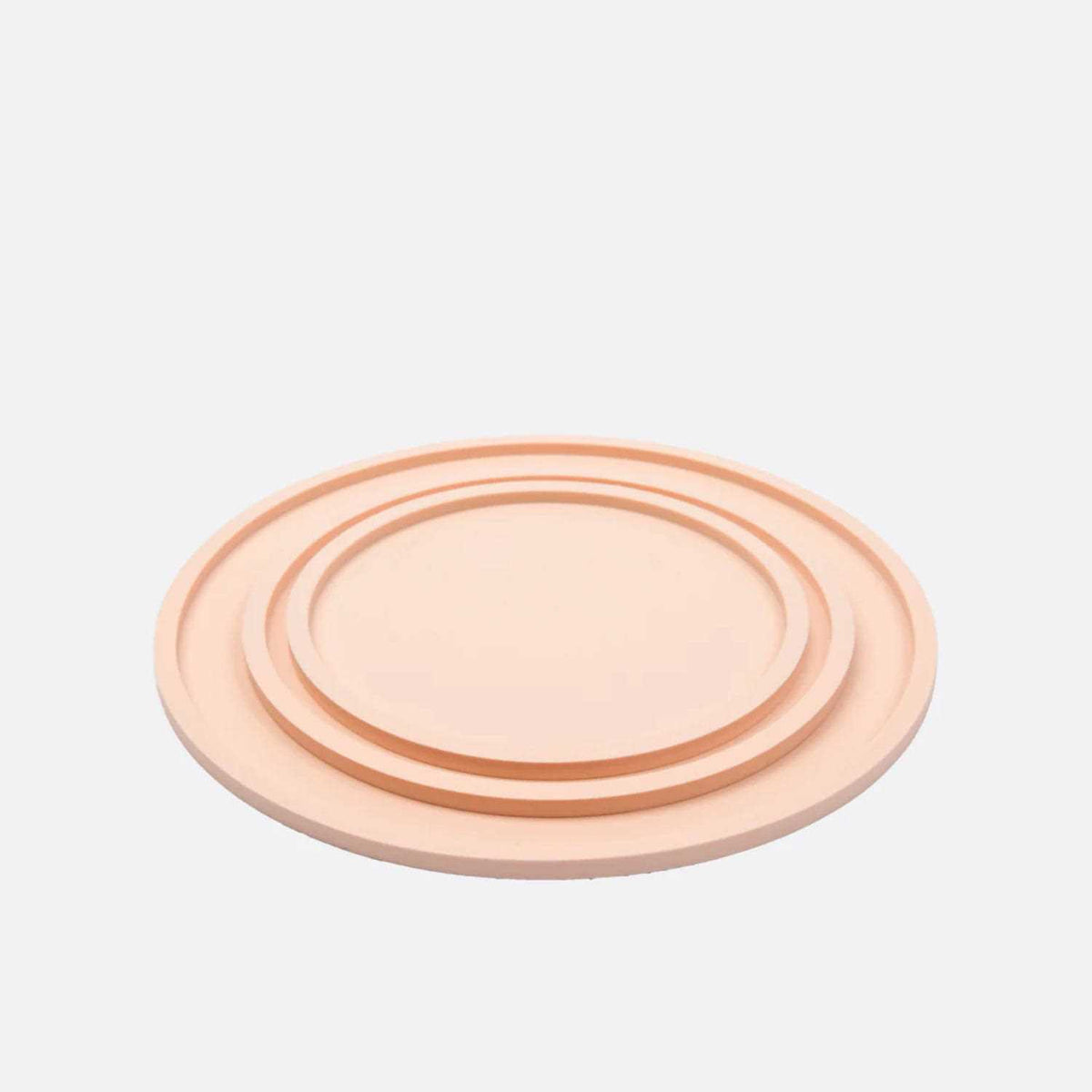 Dog Placemat T248