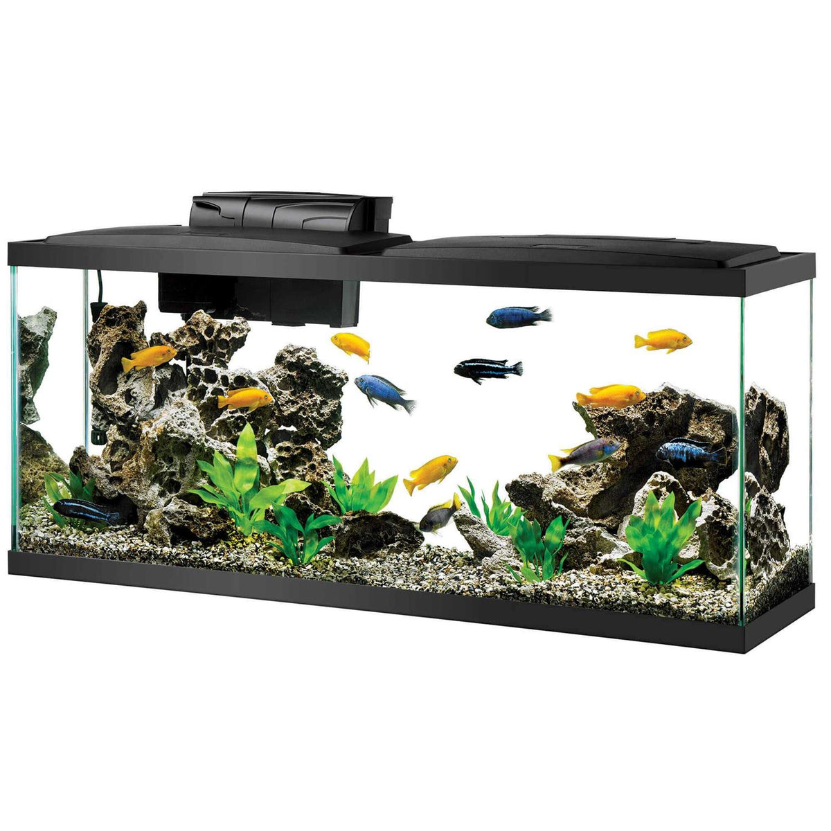 Standard Aquarium K92227