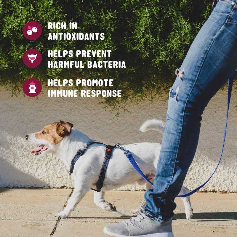 Cranberry Supplement for Dogs P719341