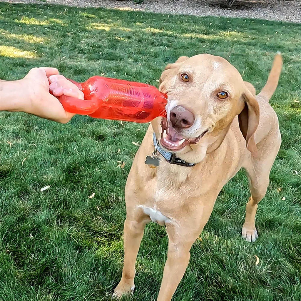 Dog Toy Y86734