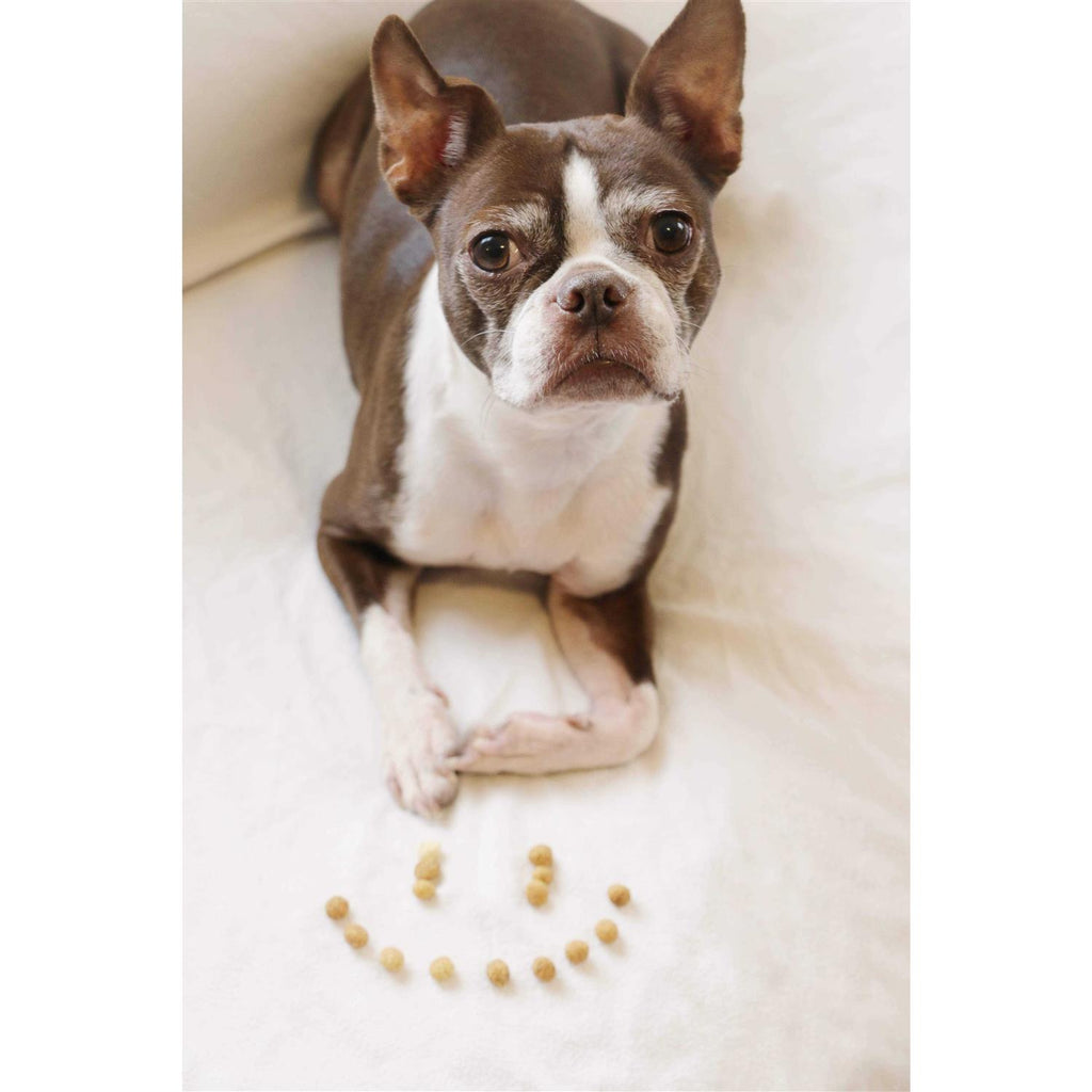 Protein Puffs Dog Treats K347726