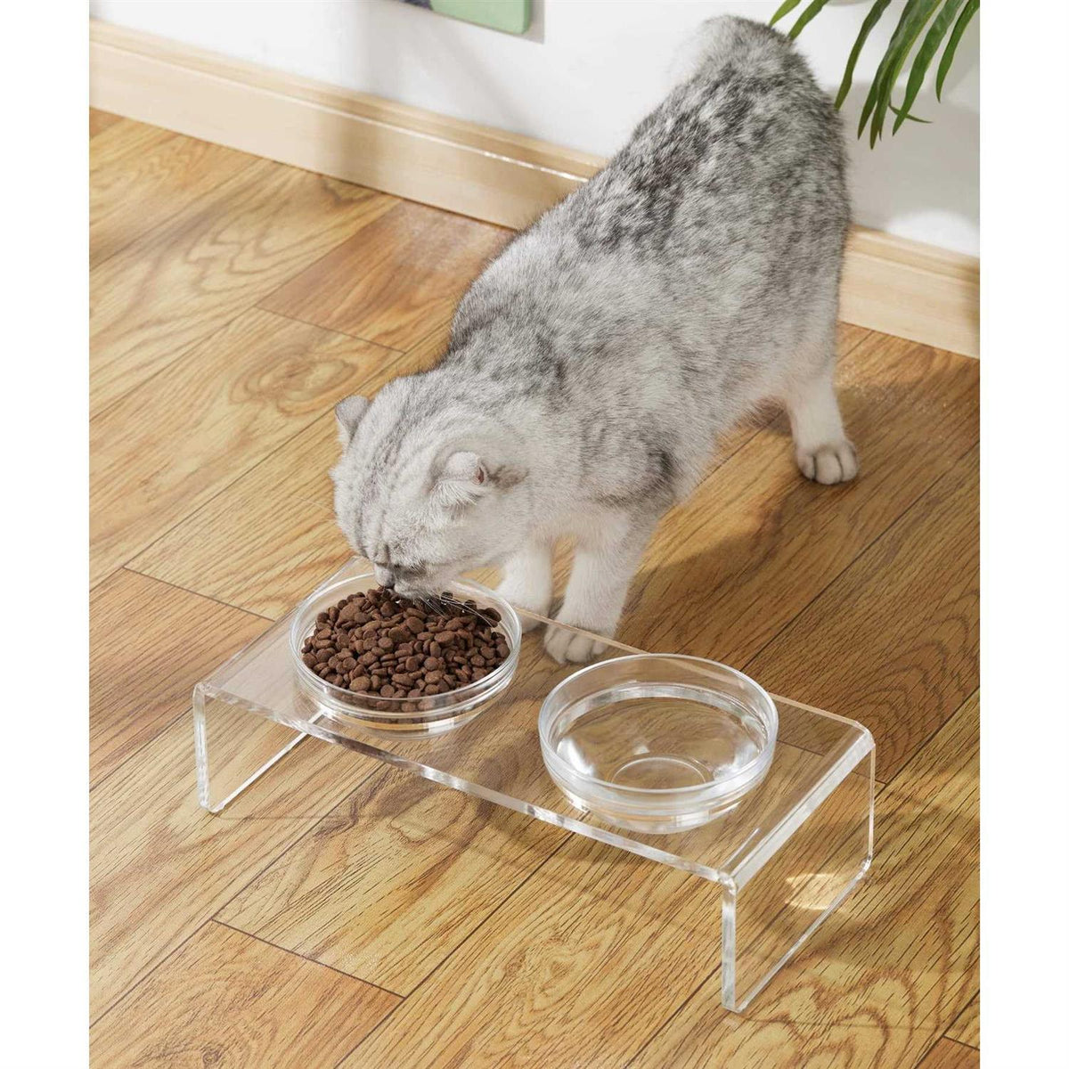 Acrylic Elevated Dog Cat Bowls with Removable Glass and Stainless Steel Bowls T347463