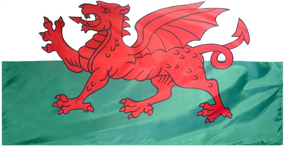 Wales Flag 4x6 ft Q86012