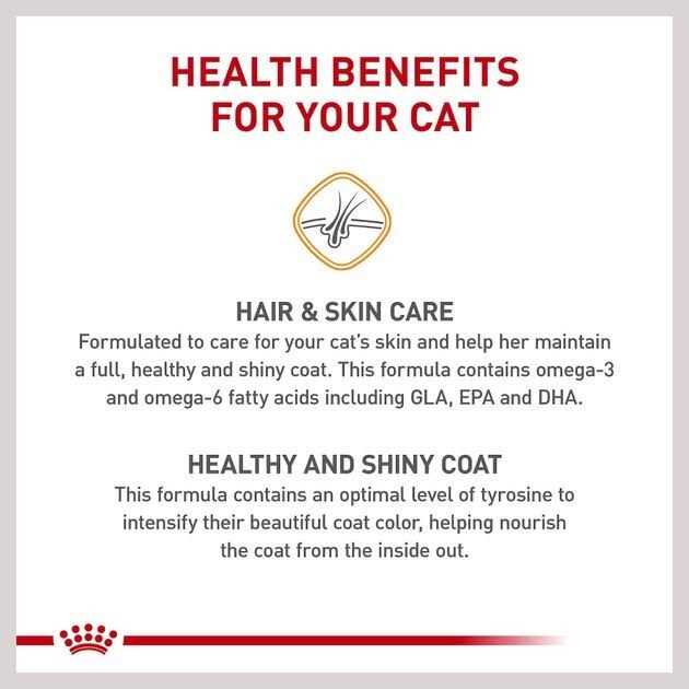 Adult Dry Cat Food C34974
