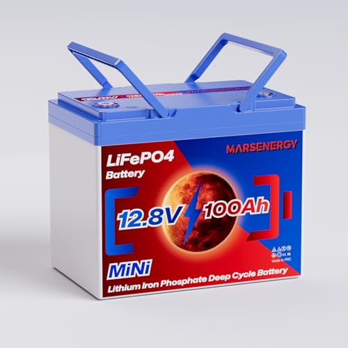 12V 100Ah Lifepo4 Battery, Bci Group 24, Built-In 100A Smart BMS E9319