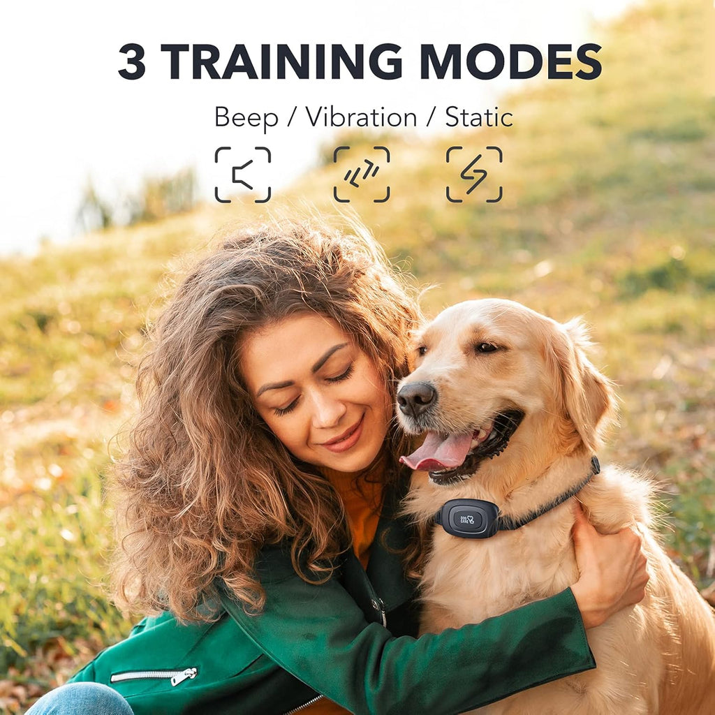 Rechargeable Dog Training Collar with Remote, 2 Receivers F970121