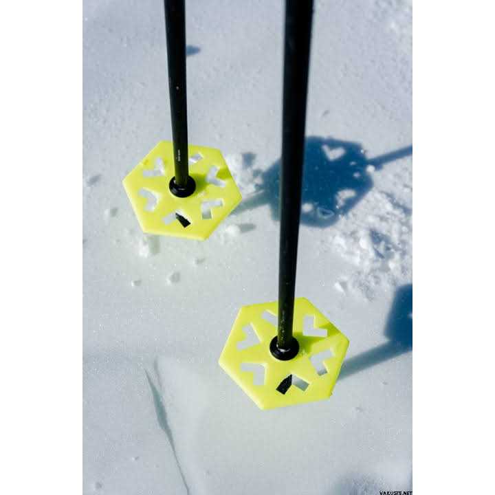 Black Crows Duos Freebird Ski Poles G4968