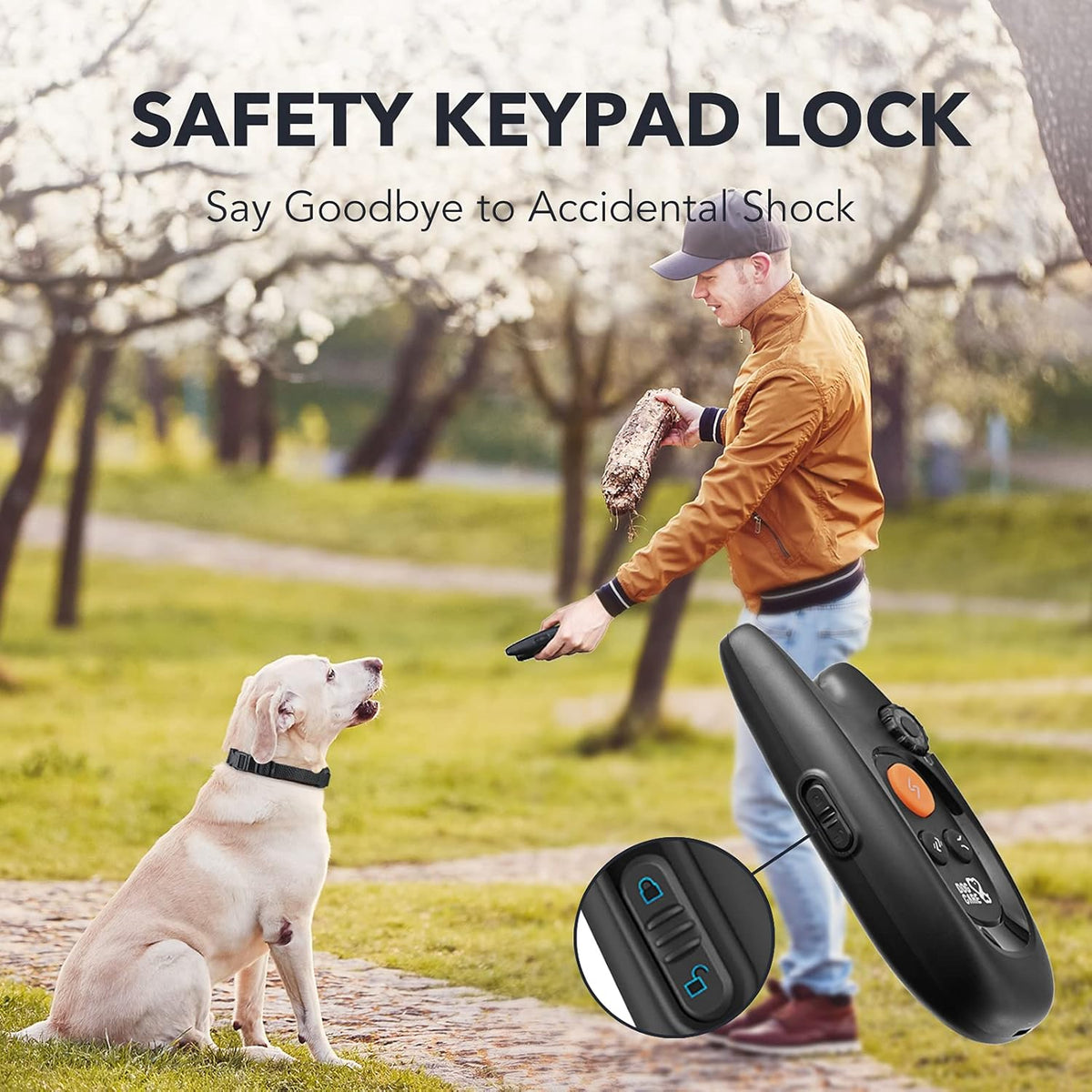 Rechargeable Dog Training Collar with Remote, 2 Receivers F970121