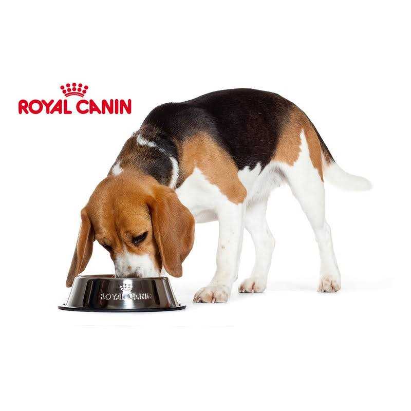 Yorkshire Terrier Adult Loaf In Sauce Dog Food H524