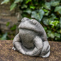 Stone Frog Y720