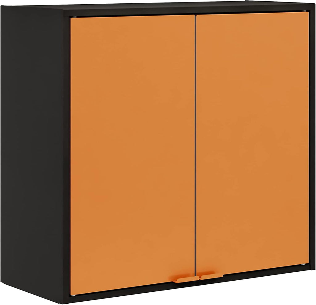 Two Doors Wall Steel Cabinet Space Organizer Blue L510