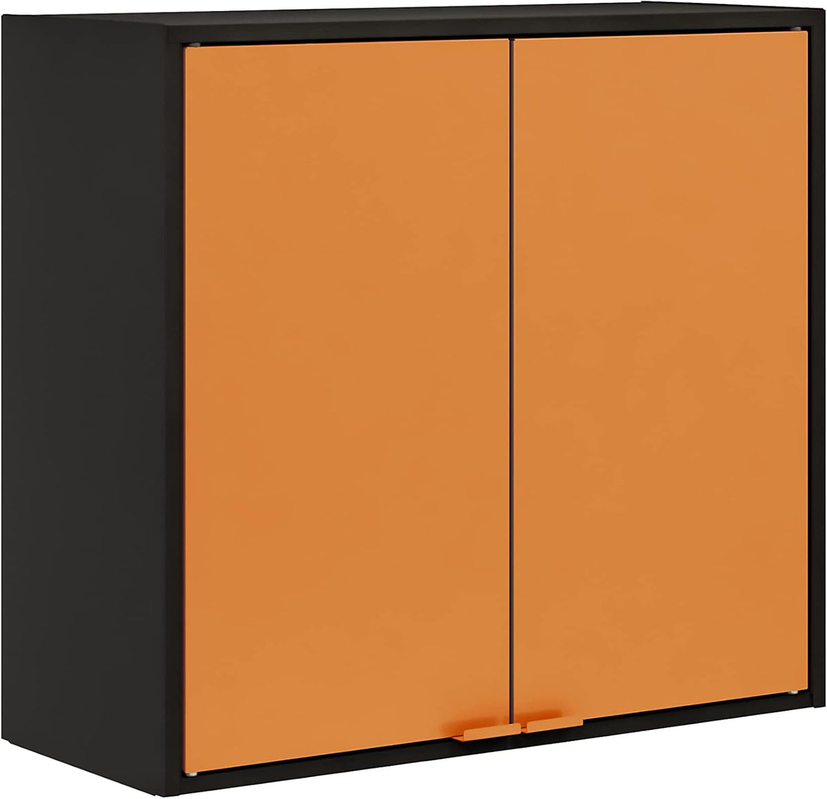 Two Doors Wall Steel Cabinet Space Organizer Blue L510