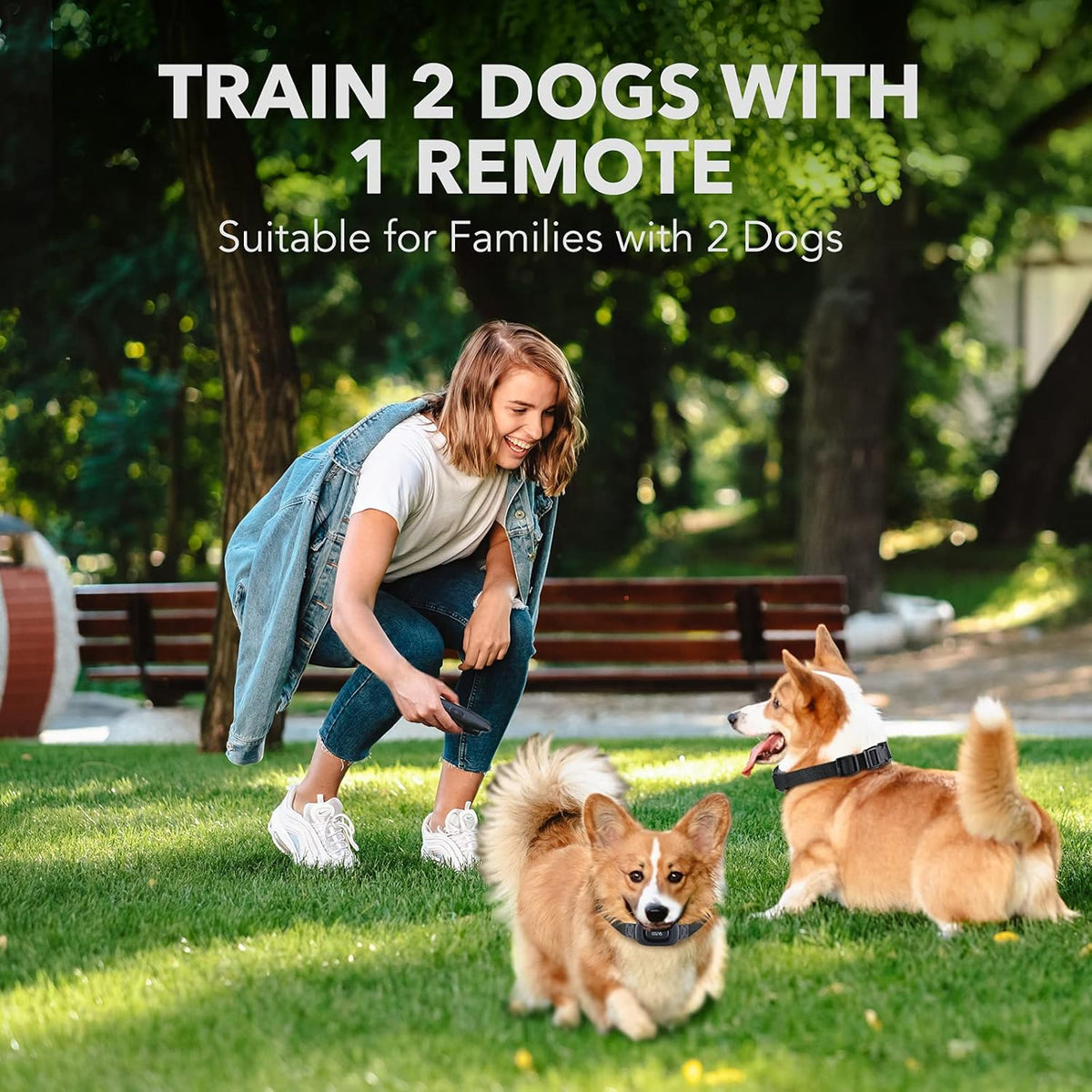 Rechargeable Dog Training Collar with Remote, 2 Receivers F970121