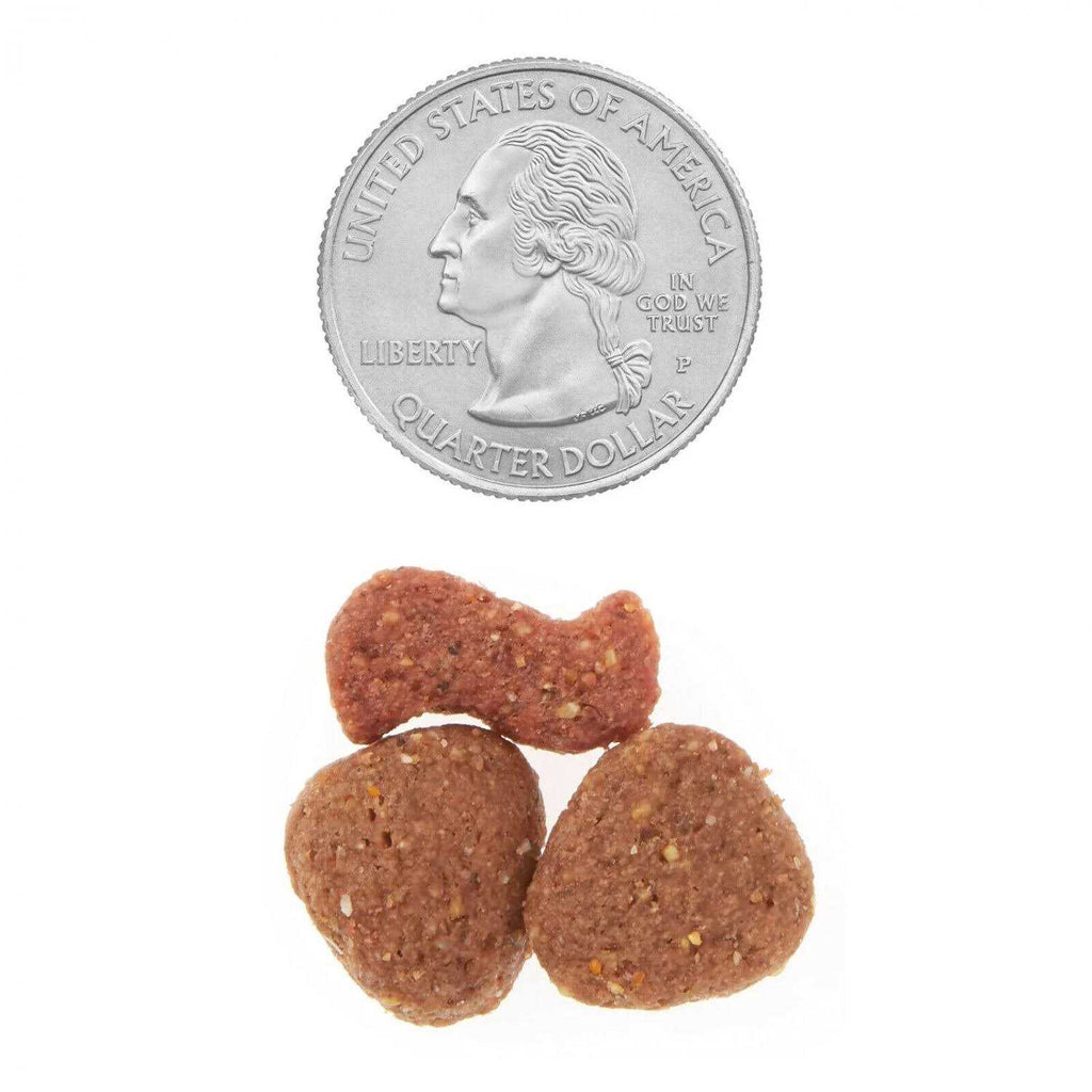 T-Bone & Bacon Flavor Dry Dog Food O9642