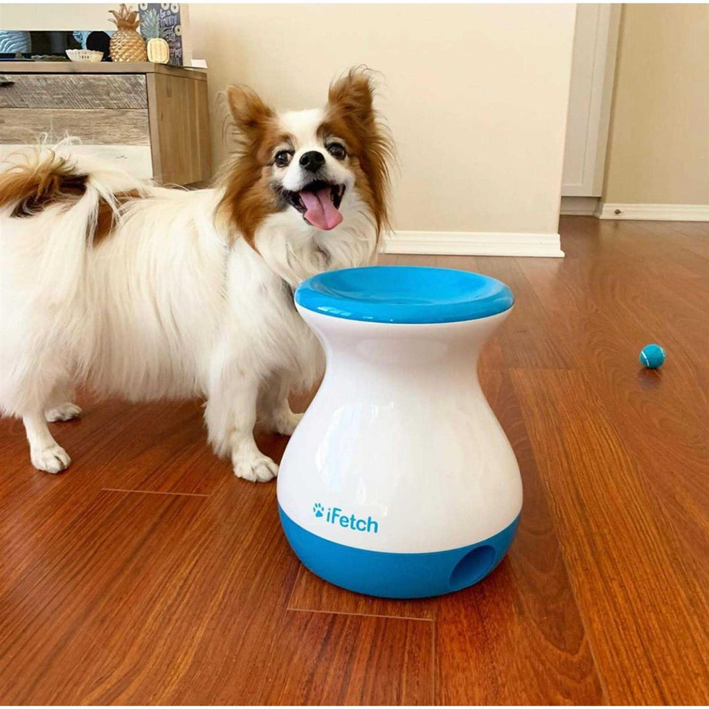 Dog Toy A54390