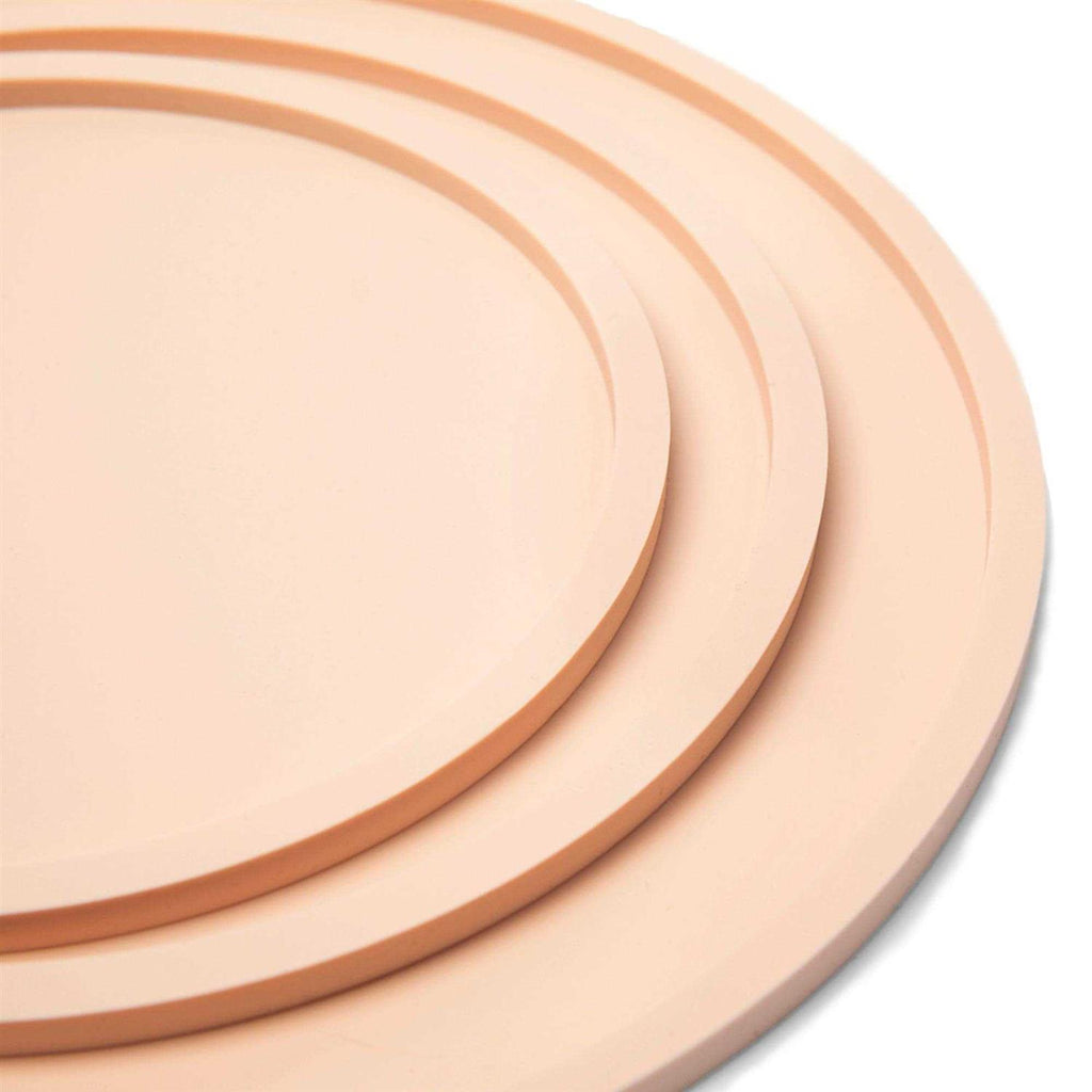 Dog Placemat T248