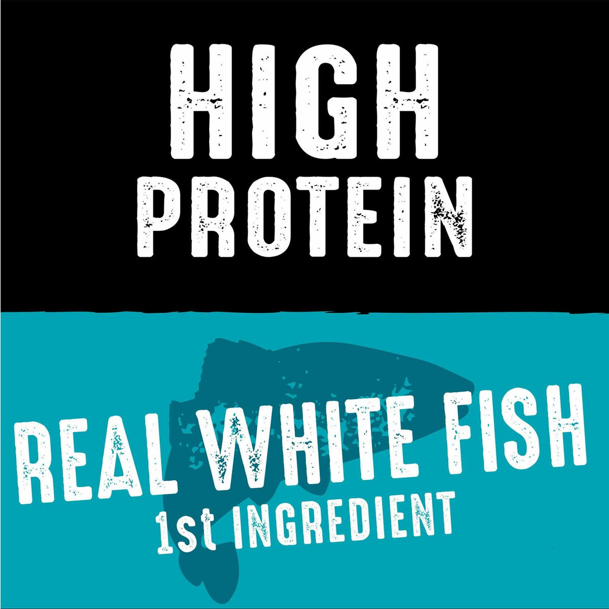Grain Free Adult Dry Dog Food with Protein J4582