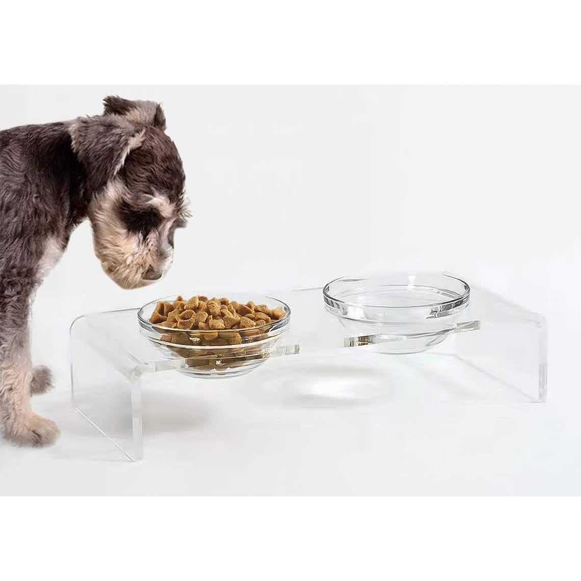 Acrylic Elevated Dog Cat Bowls with Removable Glass and Stainless Steel Bowls T347463