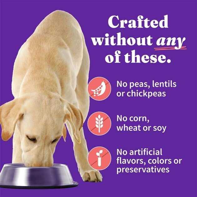 Chunky Chicken Stew T342756