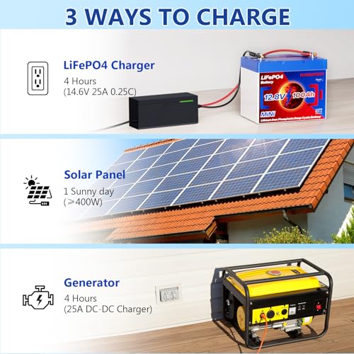12V 100Ah Lifepo4 Battery, Bci Group 24, Built-In 100A Smart BMS E9319
