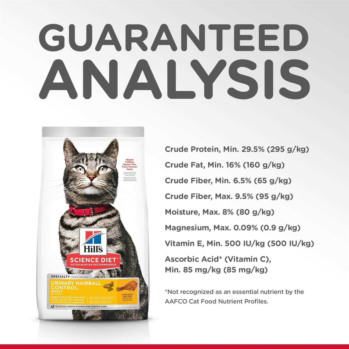 Adult Dry Cat Food G38938