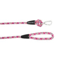 Blue 4' Rope Dog Leash N300