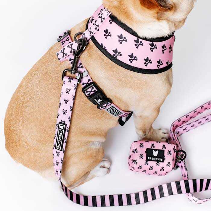 Reversible Harness X103
