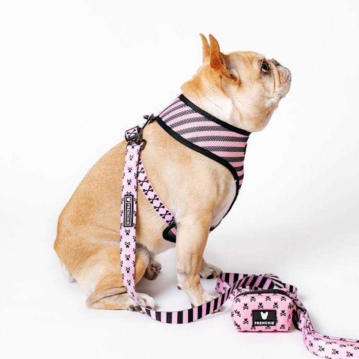 Reversible Harness X103
