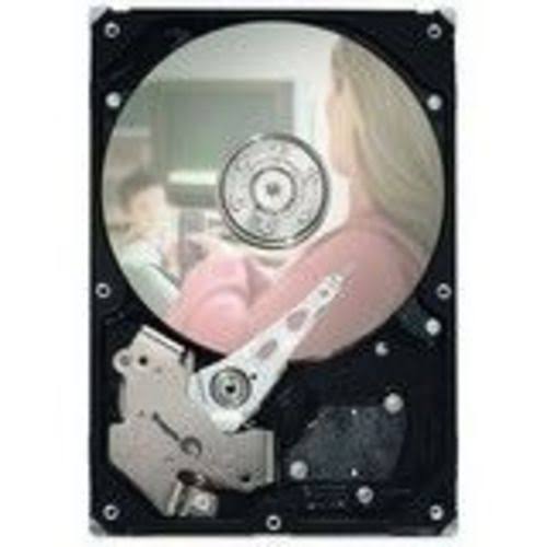 250GB 7200RPM SATA Internal Desktop Hard Drive Y6908