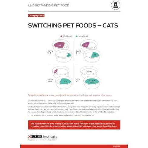 Dry Kitten Food T97108