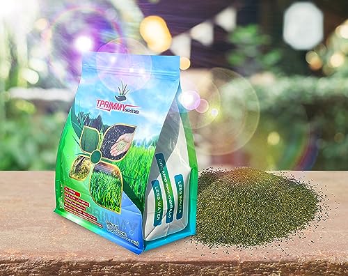 100% Tall Fescue Grass Seeds Z62540
