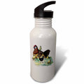 21 oz Sports Water Bottle B4301