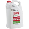 Stain & Odor Remover Refill N980734