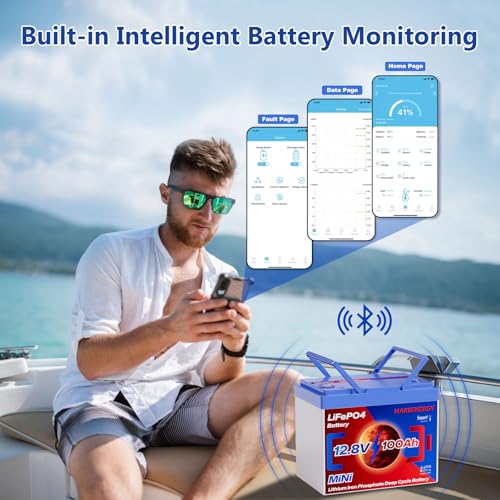 12V 100Ah Lifepo4 Battery, Bci Group 24, Built-In 100A Smart BMS E9319