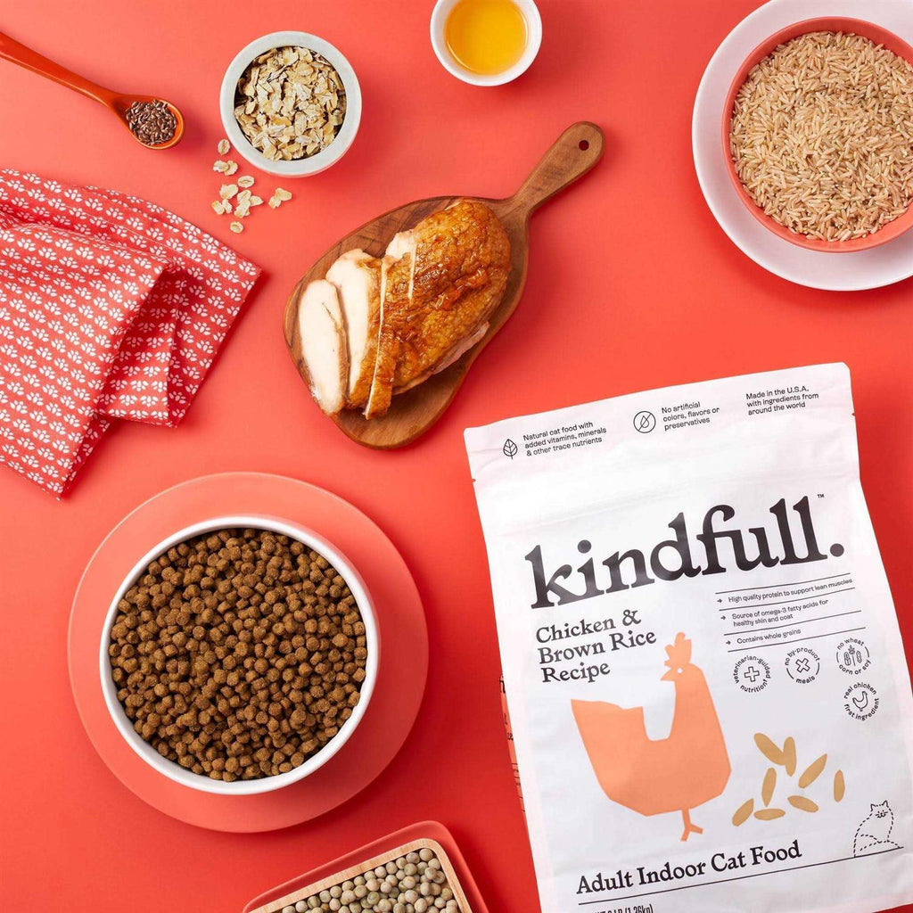 Chicken and Brown Rice Dry Cat Food T886613