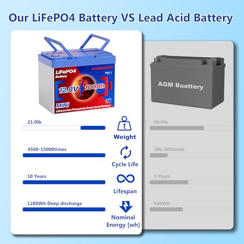 12V 100Ah Lifepo4 Battery, Bci Group 24, Built-In 100A Smart BMS E9319