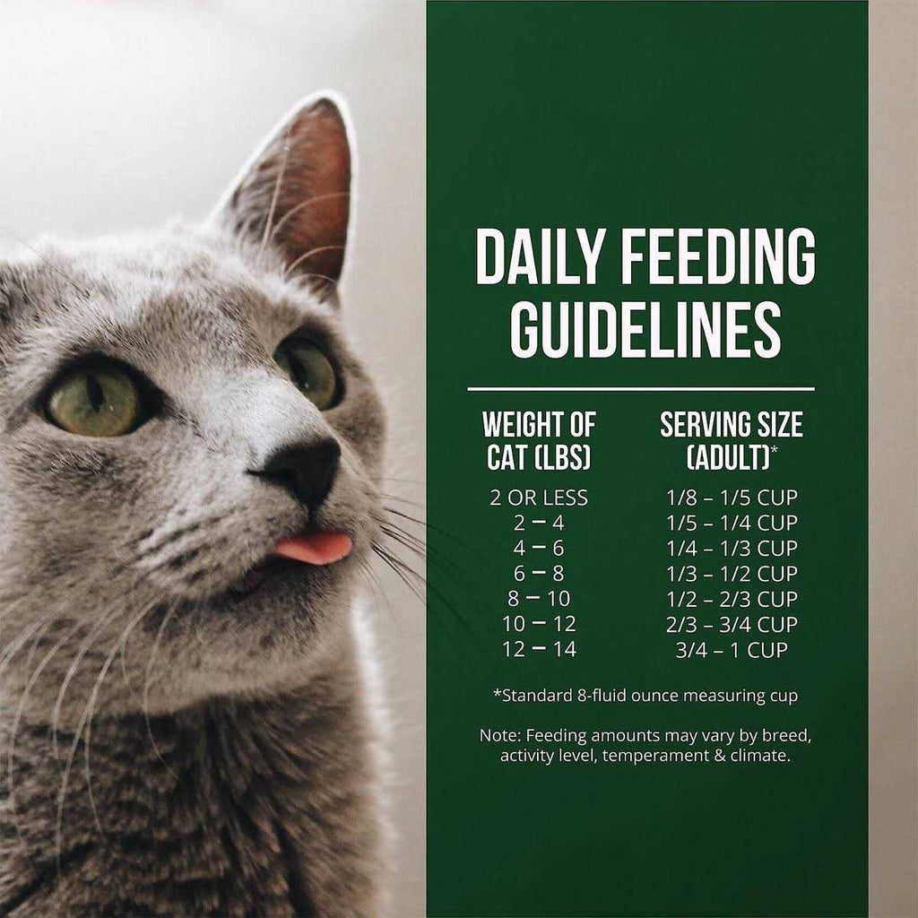 Salmon Chicken Dry Cat Food H10615