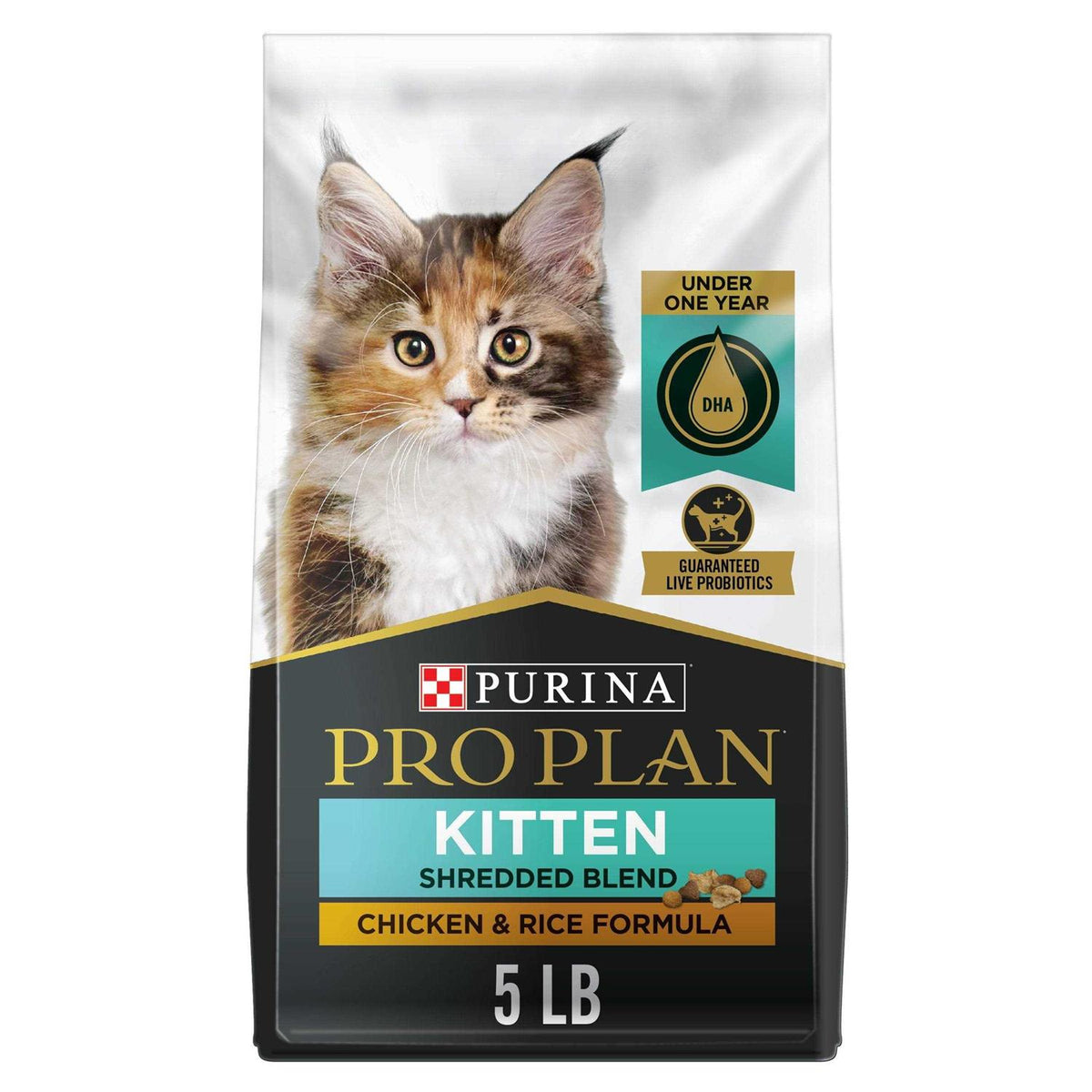 Dry Kitten Food T97108