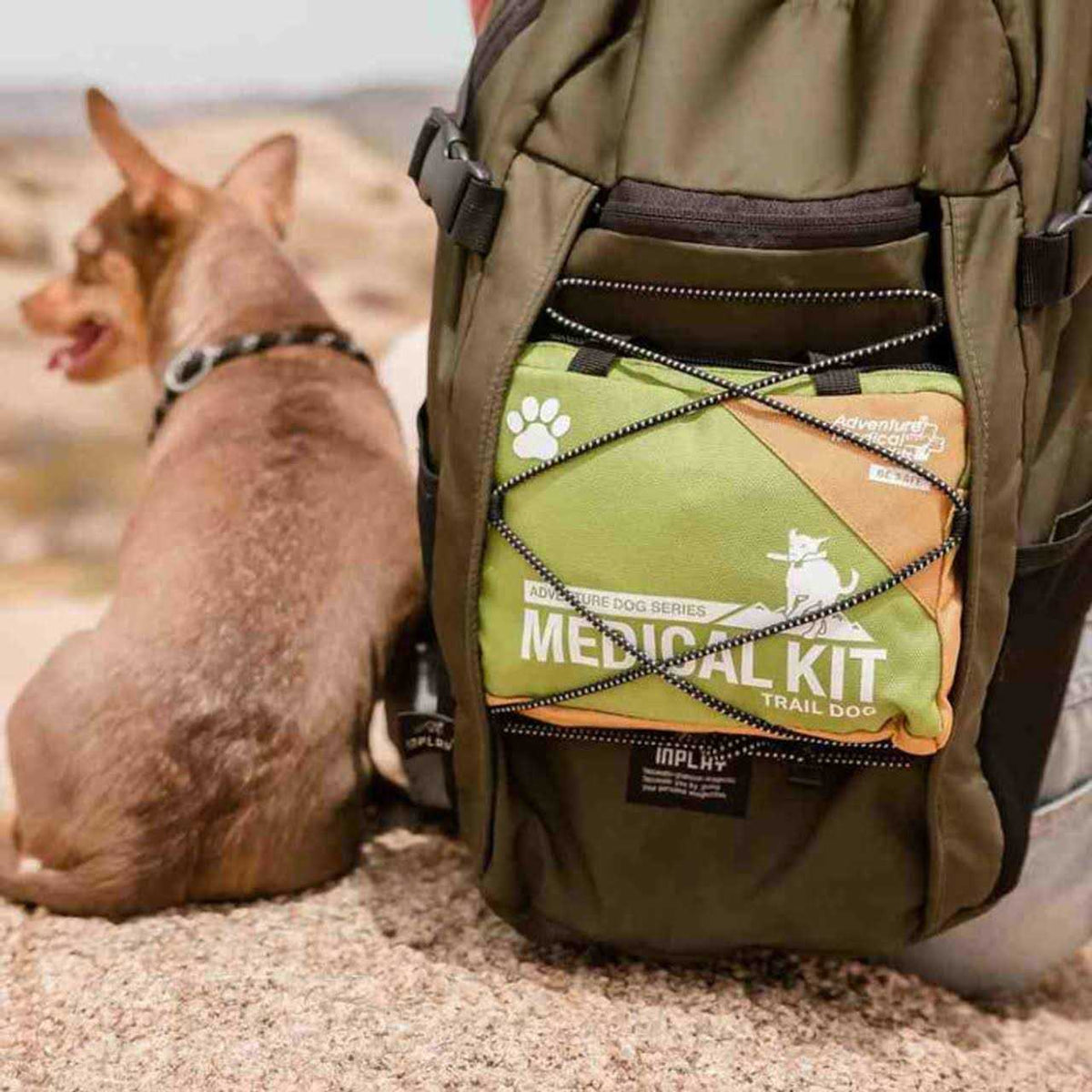 Dog Kit F551