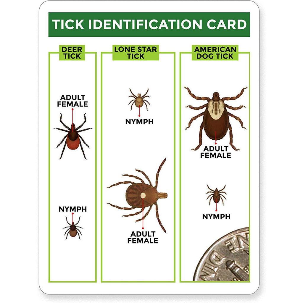 3 Pack Tick Remover Tools + Tick Identification Card G54588
