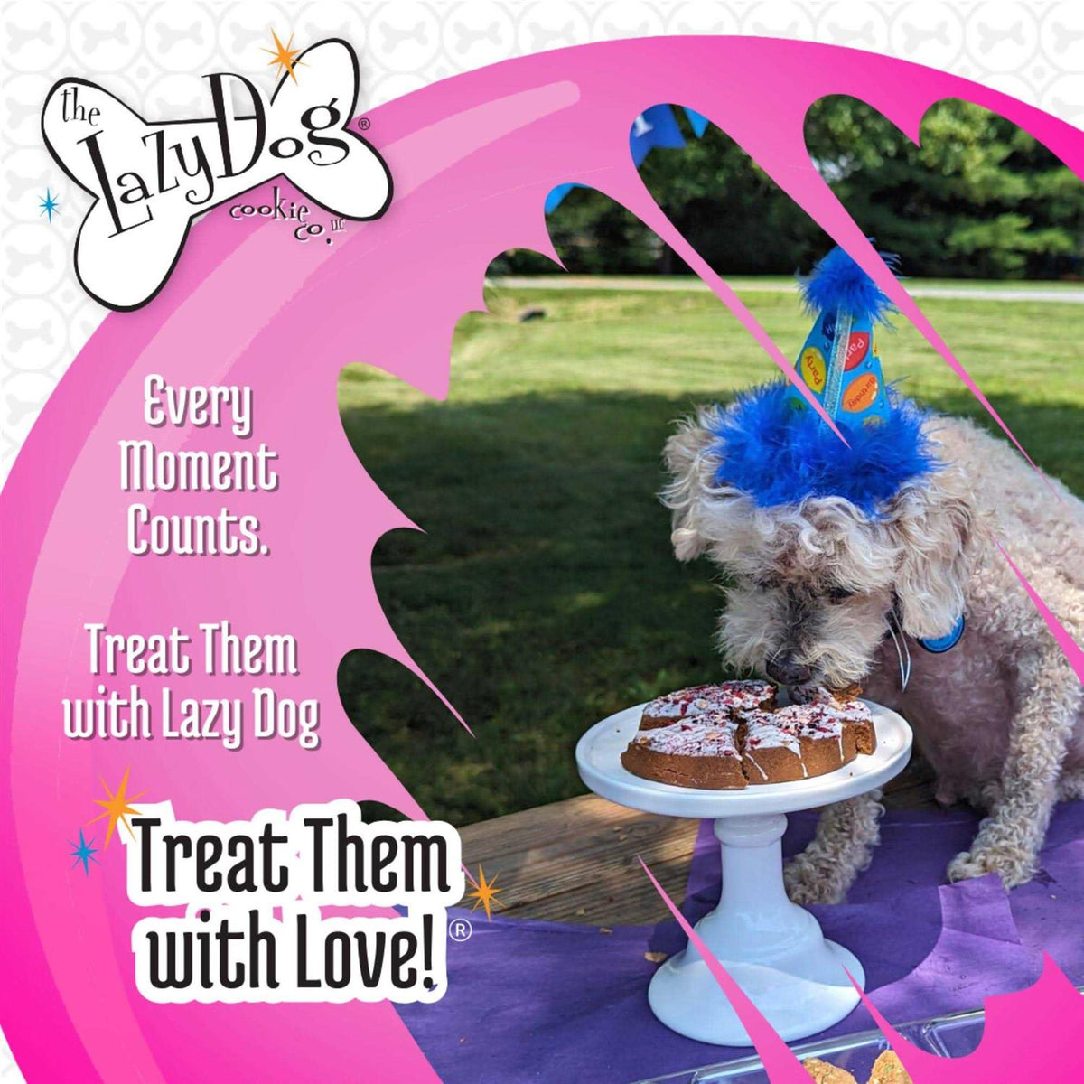 Dog Treat W8134
