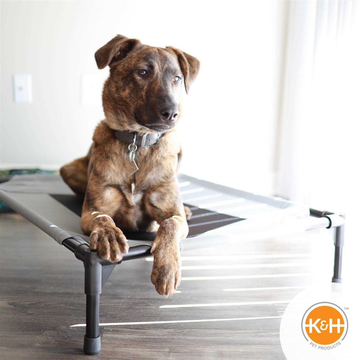 Elevated Pet Cot O58840