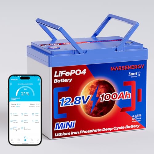 12V 100Ah Lifepo4 Battery, Bci Group 24, Built-In 100A Smart BMS E9319
